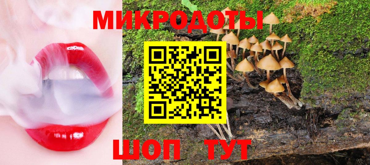 Тамбов  как найти наркотики  Вход с VPN  Псилоцибиновые грибы Magic Shrooms 