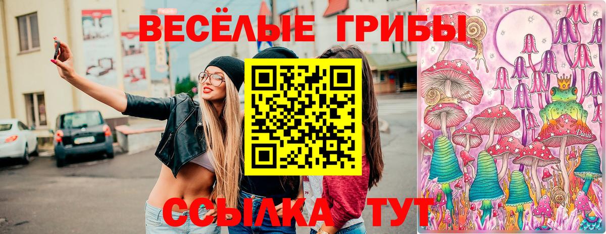 Галлюциногенные грибы прущие грибы Тамбов